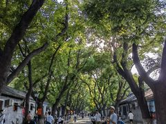 -北京国子监胡同
