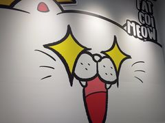 -废柴猫概念馆·桌游电玩卡牌(人广世茂店)