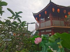 -枇杷园食为鲜火锅(南山店)
