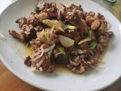-黄家菜园农庄