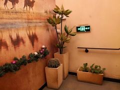 -绿茵阁(体育西分店)