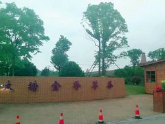 -大塘金香草谷