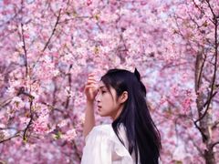 -天适樱花悠乐园