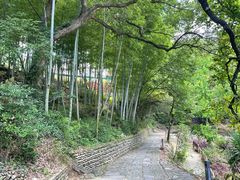 景点-塔川景区