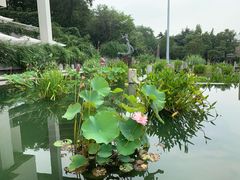 -南京艺术学院音乐厅