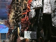 -船家渔(徐州北路店)