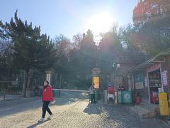 -紫金山天文台