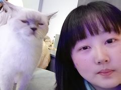 -极木²邸 人与宠物·互动社区