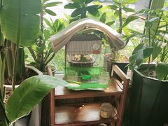 -草原塞蛮羊火锅城(港湾店)