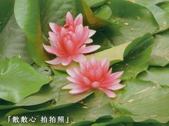 -陶然亭公园