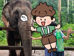 -野象谷景区