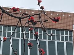 -广东外语外贸大学(白云山校区)