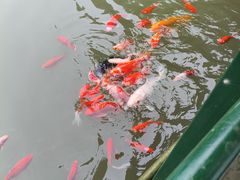 -陶祖圣境风景区