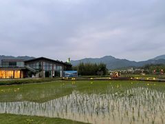 -禾悦庄餐厅
