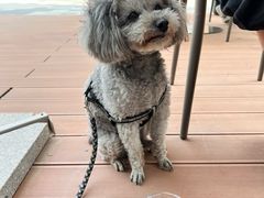 -Peet's 皮爷咖啡(望京小街店)