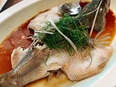 清蒸鲈鱼-尚一汤·粤菜海鲜(环球港店)