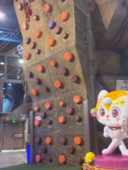 -卡通尼·Safari非洲探索乐园·生日会(金桥国际商业广场店)