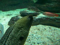 -北戴河圣蓝海洋公园