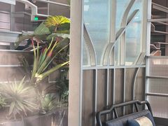 -湊湊火锅·茶憩(皇姑万象汇店)