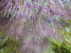 -同里国家湿地公园