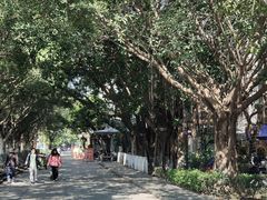 -黄埔古港