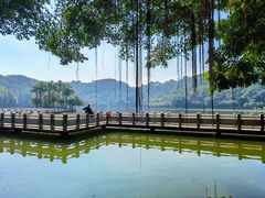 -西樵山风景名胜区-天湖公园