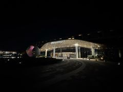 -东方美谷JW万豪酒店·The lounge大堂吧