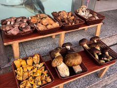 -草墩罗非鱼庄•野生菌•腊排骨(七星街上段店)