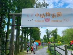 -前小桔亲子创意农场·草莓采摘·露营烧烤