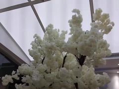 -艾薯夫妇Aysh(福田星河COCOPark店)