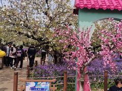 -江苏三台山国家森林公园