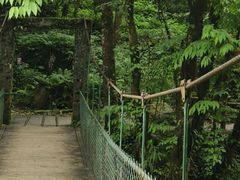 -西岭雪山大飞水景区