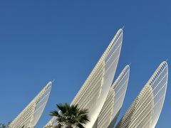 -扎耶德国家博物馆