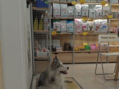 -艾贝尔宠物医院 ·中兽医·宠保定点(北门桥店)