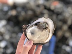 -蚝乡农庄(铁涌赤岸店)