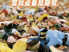-人民广场