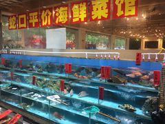 水产区-强记海鲜·大排档(蛇口新街店)