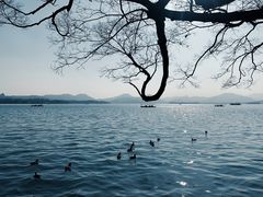 -湖畔居茶楼(湖滨店)