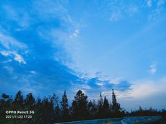 -白鹭湾湿地公园