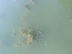-暨阳湖生态园