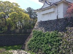 -名古屋城
