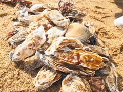 -日照灯塔风景区