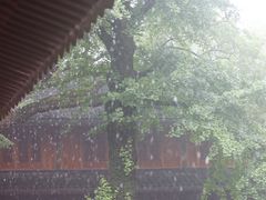-法雨寺餐厅