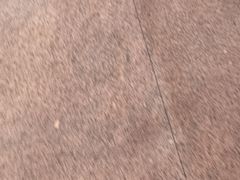 -奈雪的茶(大悦城PRO店)