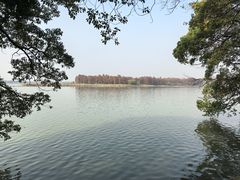 -东湖落雁景区