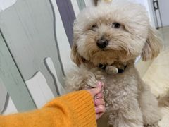-听TA说宠咖·宠物生活馆(天韵水岸店)