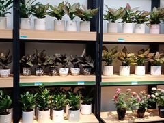 -沃尔玛购物广场(昆明大观店)