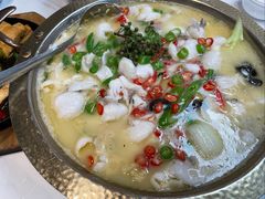 藤椒生鱼-蜀都餐厅(凤池店)