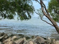 -宝安西湾红树林湿地公园