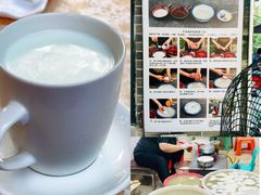 热鲜水牛奶-周大娘牛乳(旧寨古村总店)